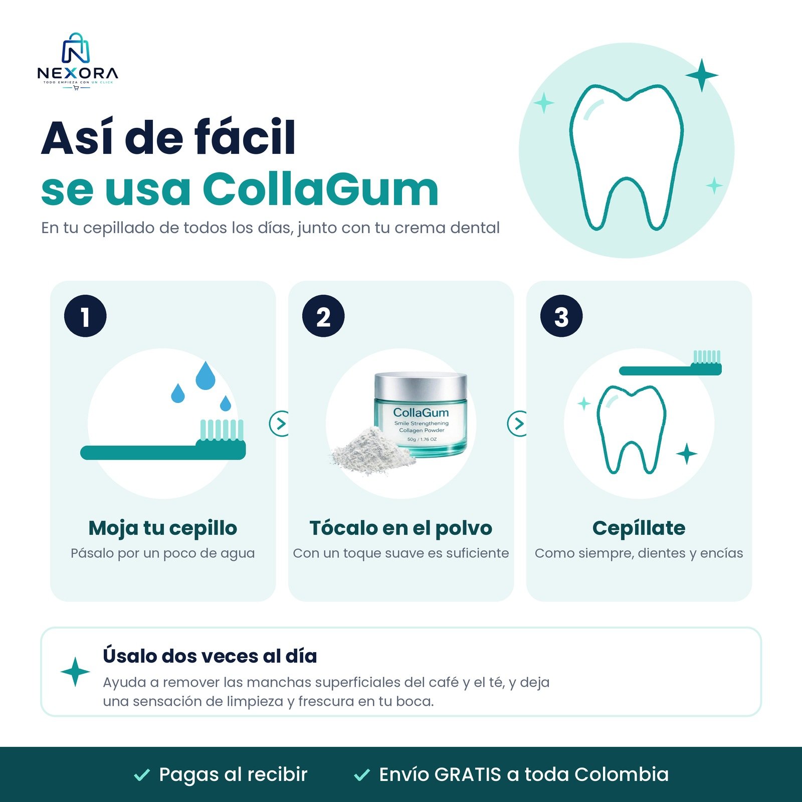CollaGum – Polvo Dental con Colágeno 50 g - Imagen 2